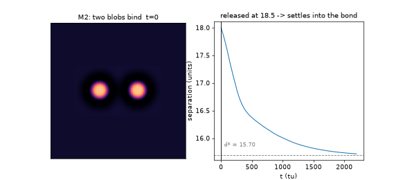 M2 binding